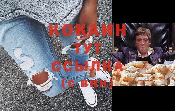 дживик Дегтярск