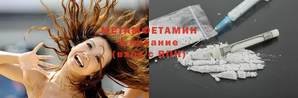 сатива Новокубанск
