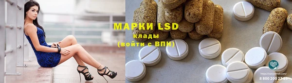 дживик Новозыбков