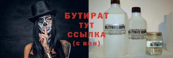сатива Новокубанск