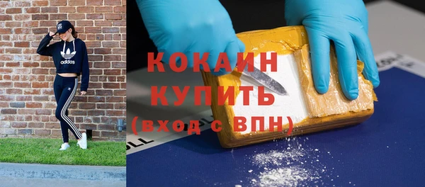 дживик Новозыбков