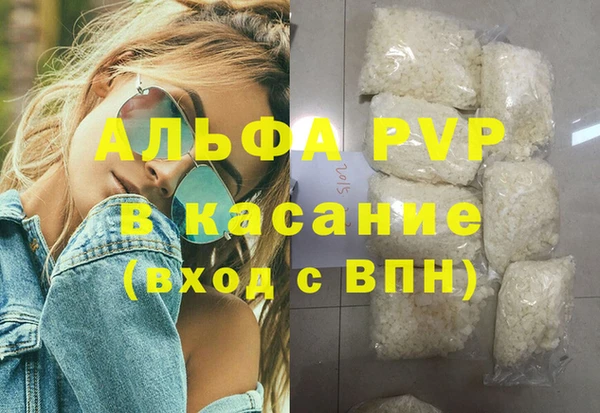 сатива Новокубанск