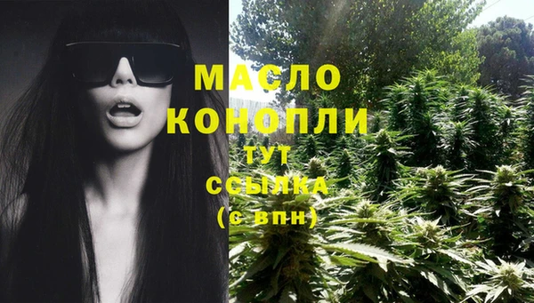 сатива Новокубанск