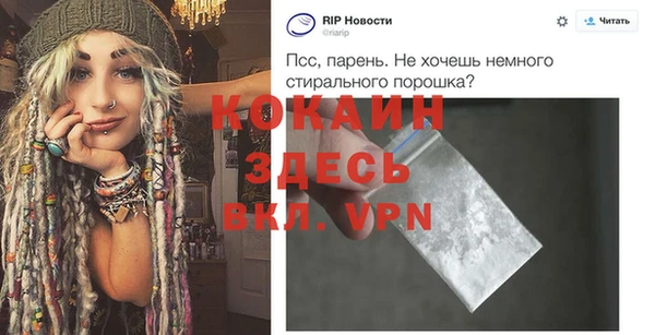 сатива Новокубанск
